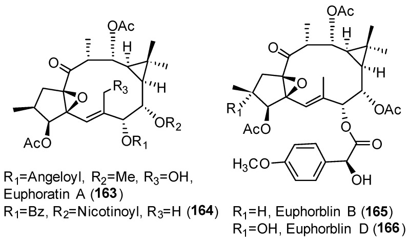 Figure 30