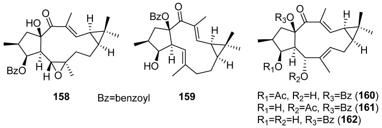 Figure 29