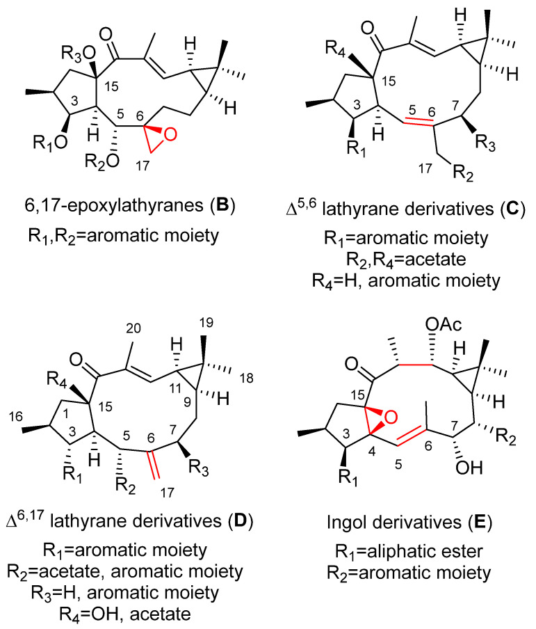 Figure 19