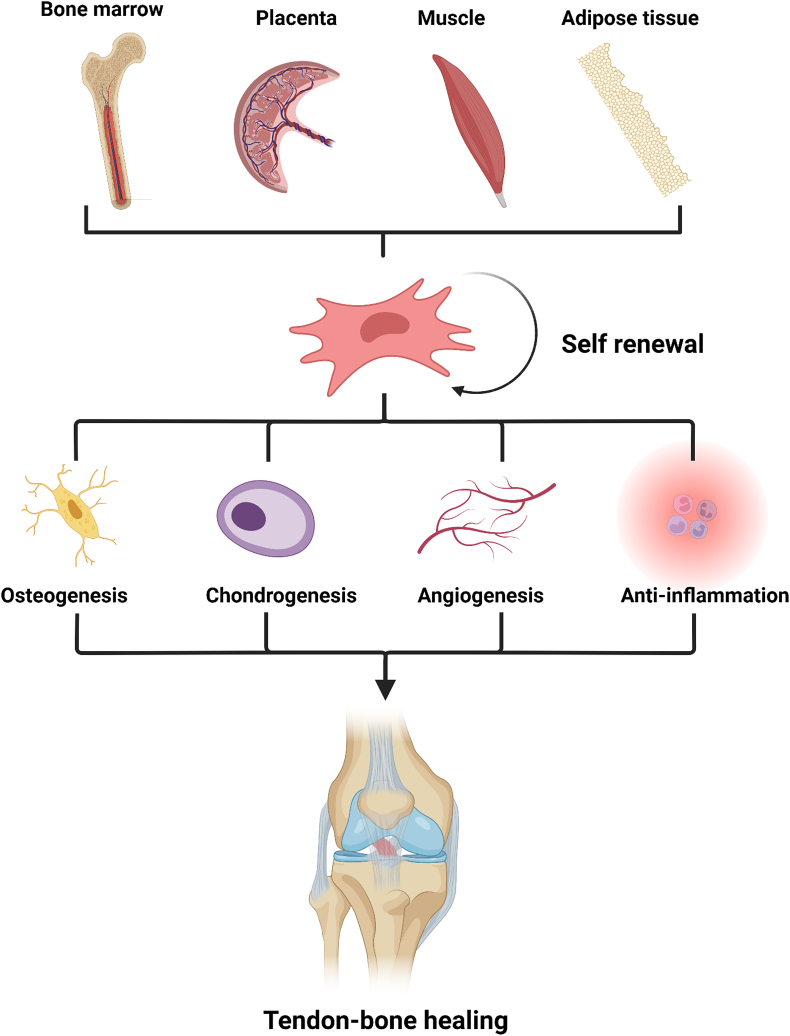 Fig. 3