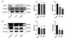 Fig. (6)