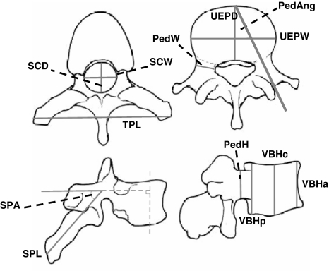 Fig. 1