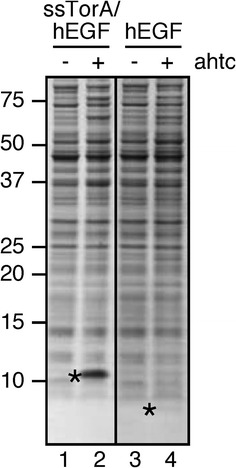 Fig. 6