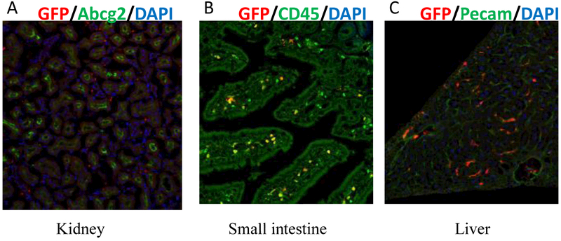 Fig 3.