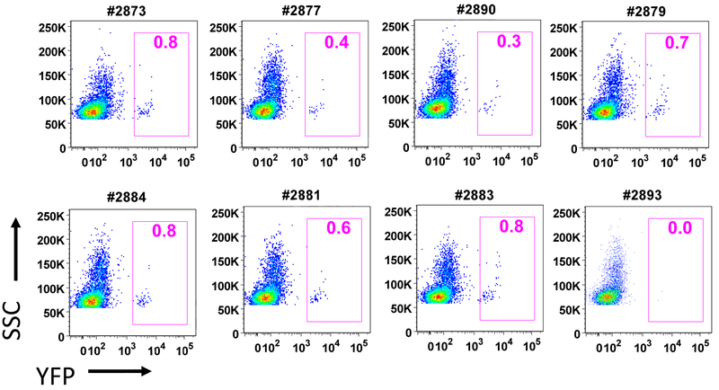 Fig 2.