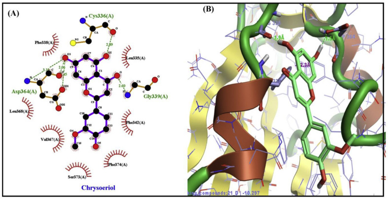 Fig. 1