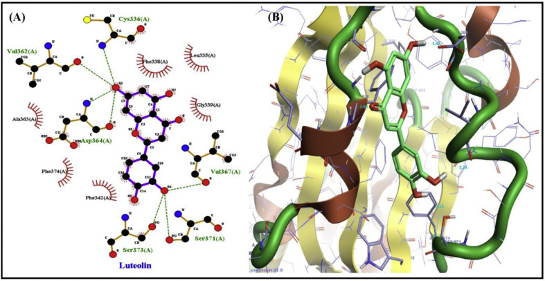 Fig. 2