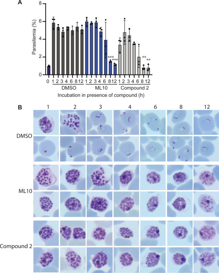 Fig 4