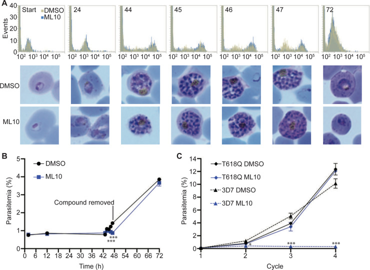 Fig 6