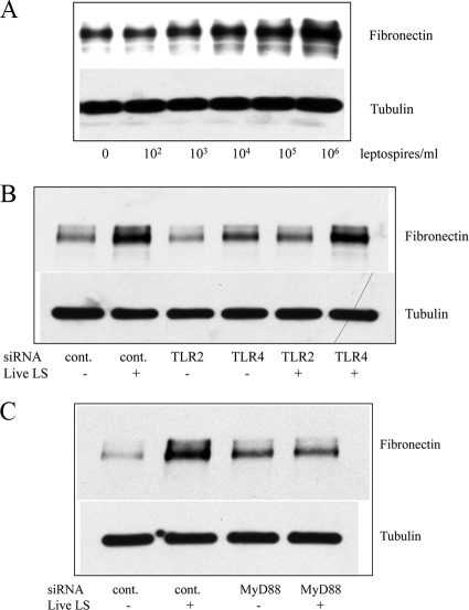 FIG. 7.