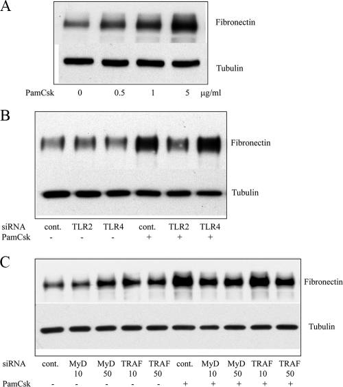 FIG. 6.