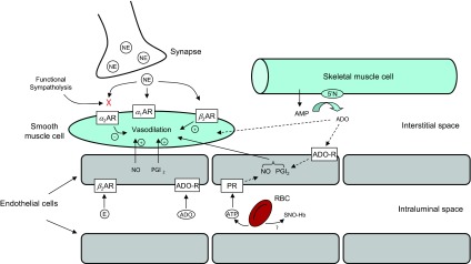 Fig. 4.