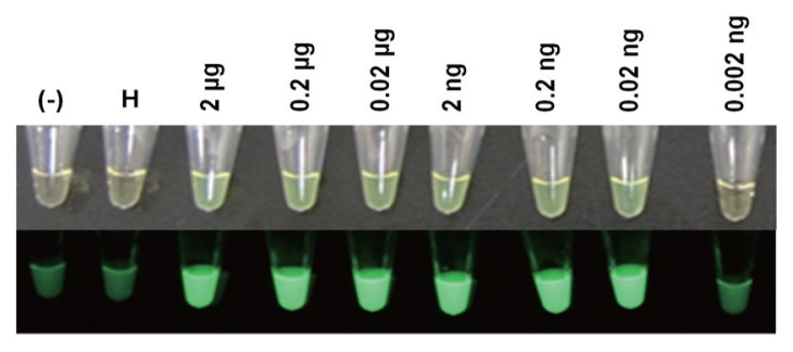 Fig. 5