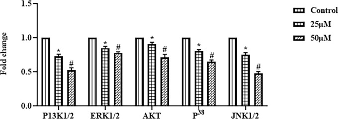 Figure 5