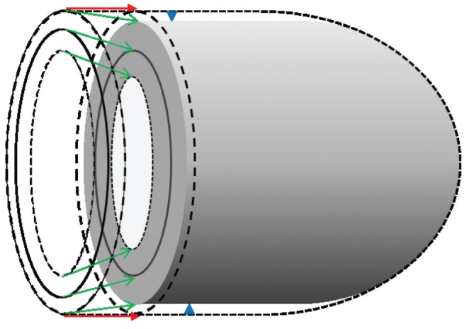 Figure 1)