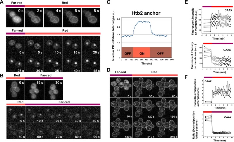 FIGURE 3: