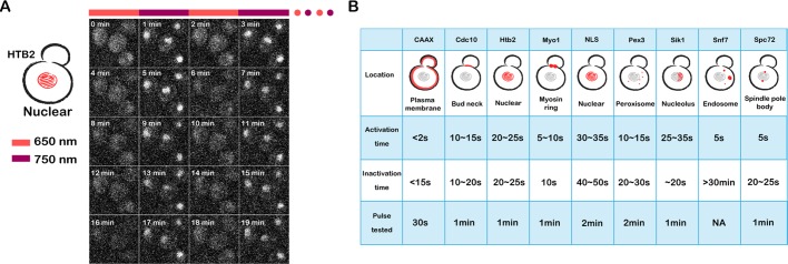 FIGURE 4: