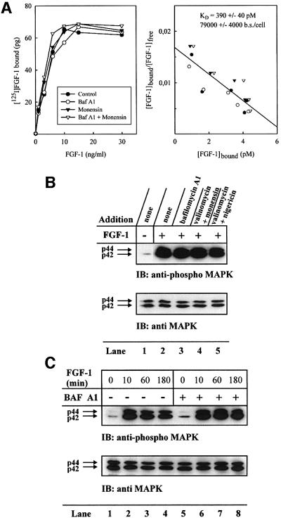 graphic file with name cdf472f7.jpg