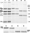 FIG. 5.