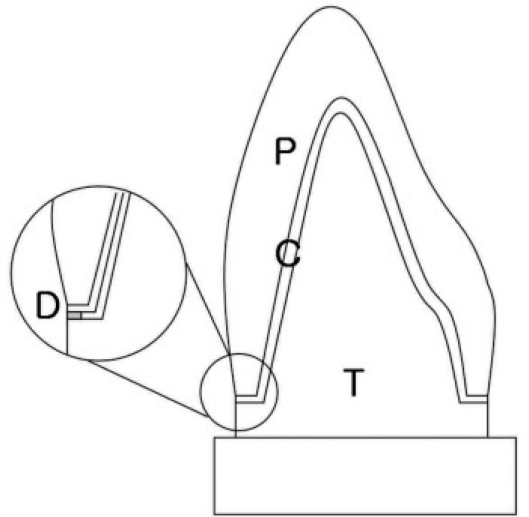 Fig. 5