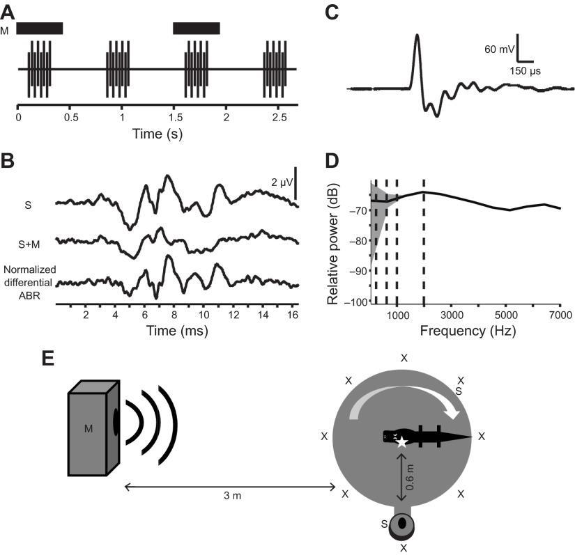 Fig. 12.