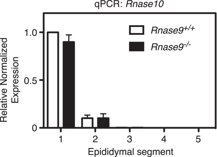 FIG. 10