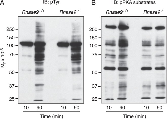 FIG. 9