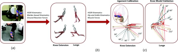 Experiment and computational modeling workflow including (a) data collection of HSSR images, motion capture, and ground reaction forces, (b) whole-body musculoskeletal modeling, and (c) detailed, subject-specific finite element modeling for knee extension and lunge activities