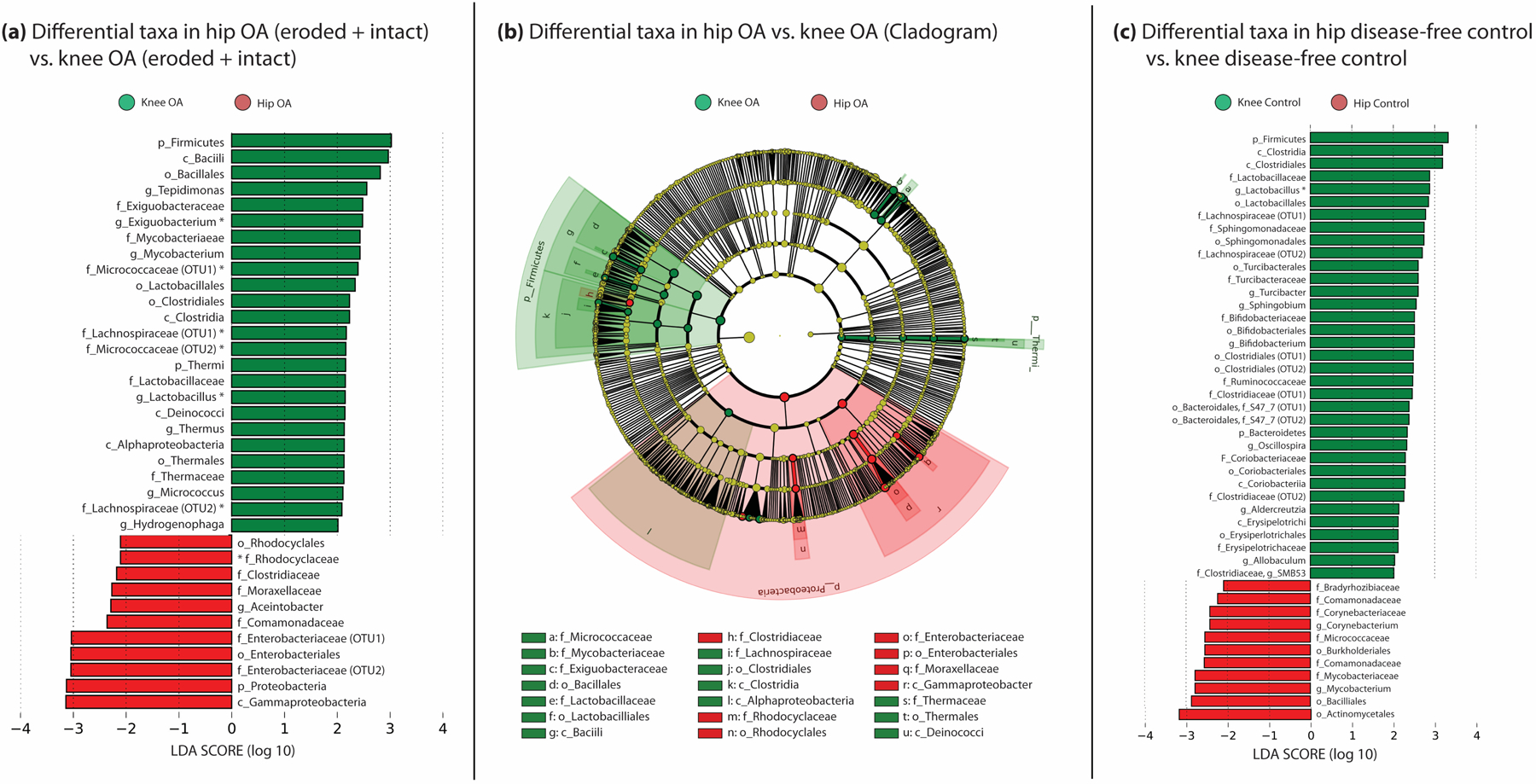 Figure 3: