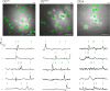 Figure 1—figure supplement 4.