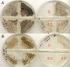 Fig. 3.