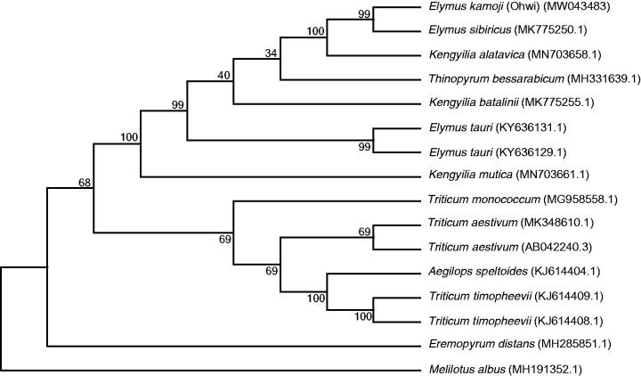 Figure 1.