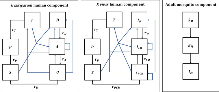 Appendix 1—figure 1.