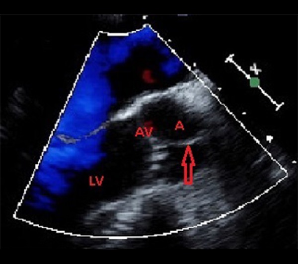 Figure 5.