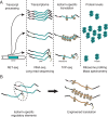 Figure 7.