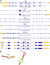 Figure 5—figure supplement 1.