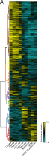 Figure 4—figure supplement 1.