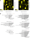 Figure 2—figure supplement 1.