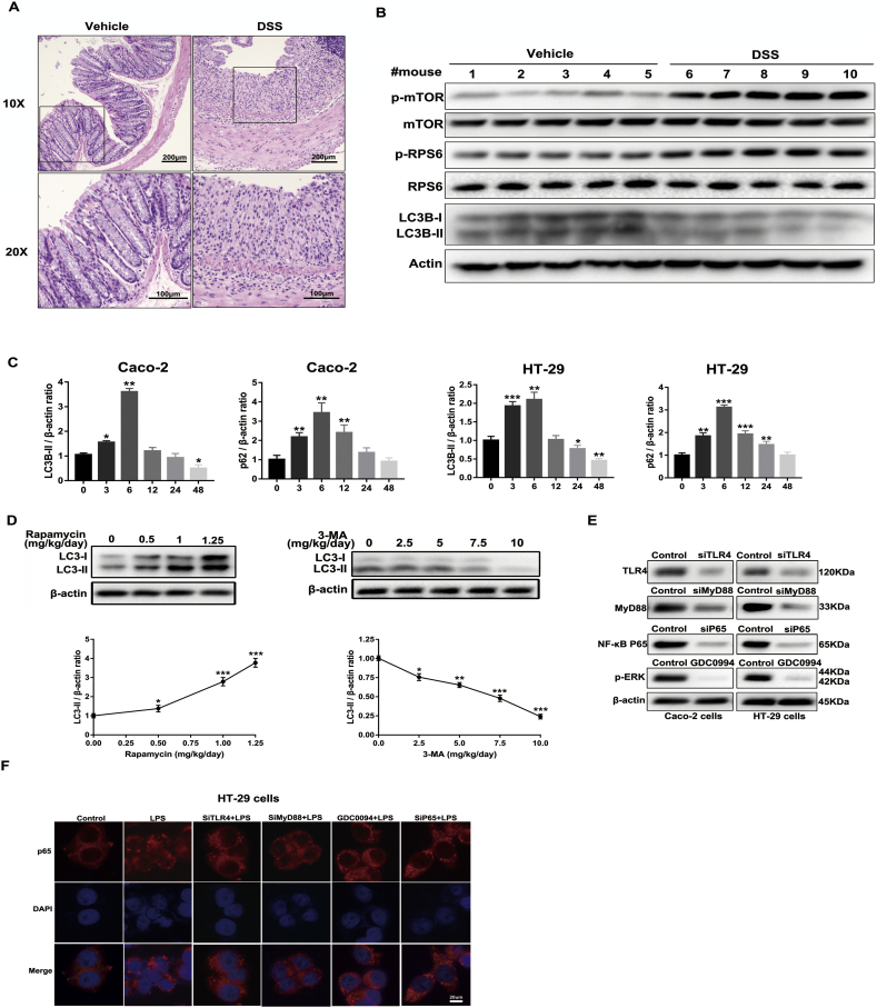 Supplementary Fig. 1