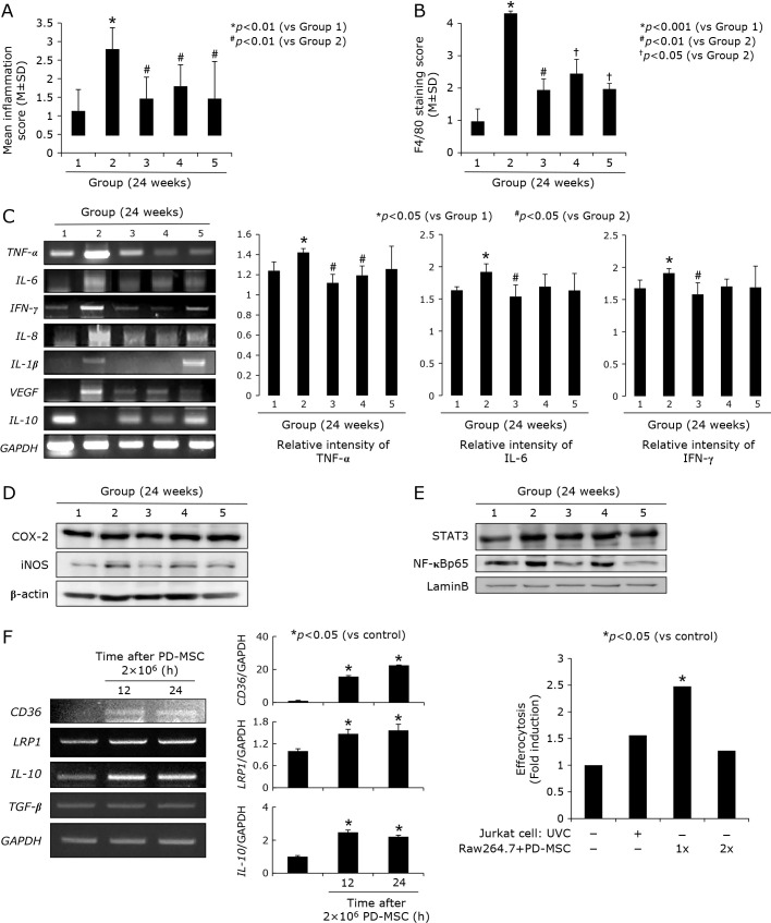 Therapeutic Effects Of Placenta Derived-, Umbilical Cord Derived-, And 