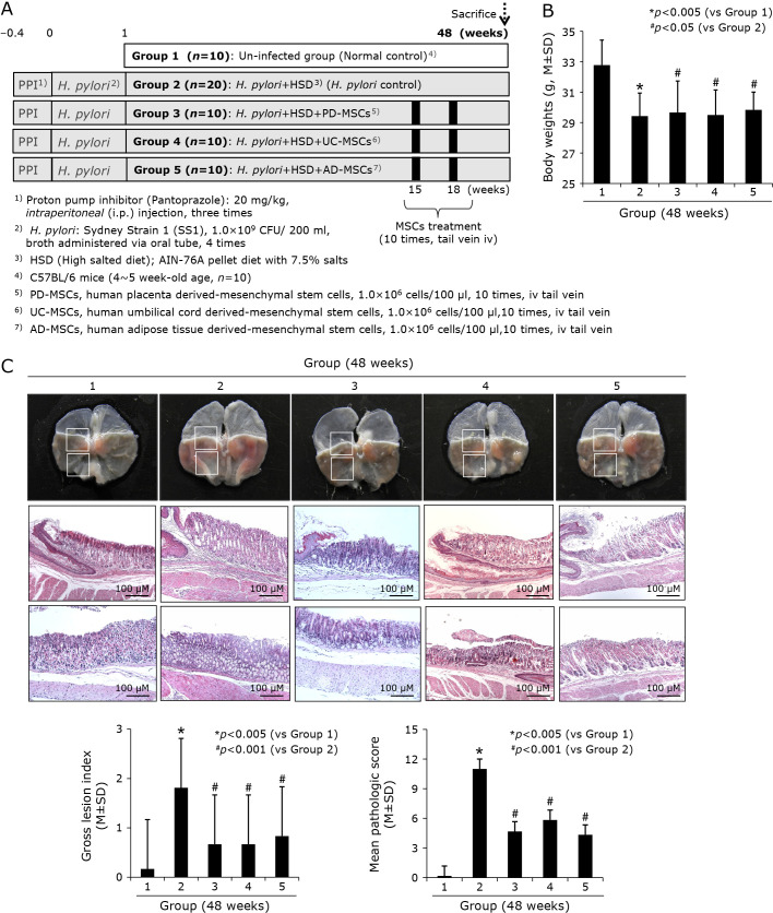 Fig. 4.