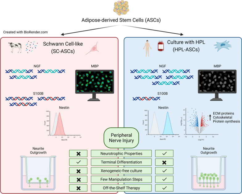 graphic file with name 13287_2023_3407_Figa_HTML.jpg