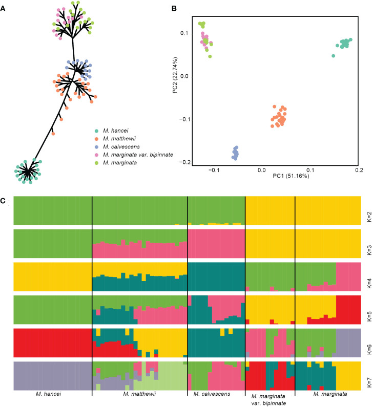 Figure 2