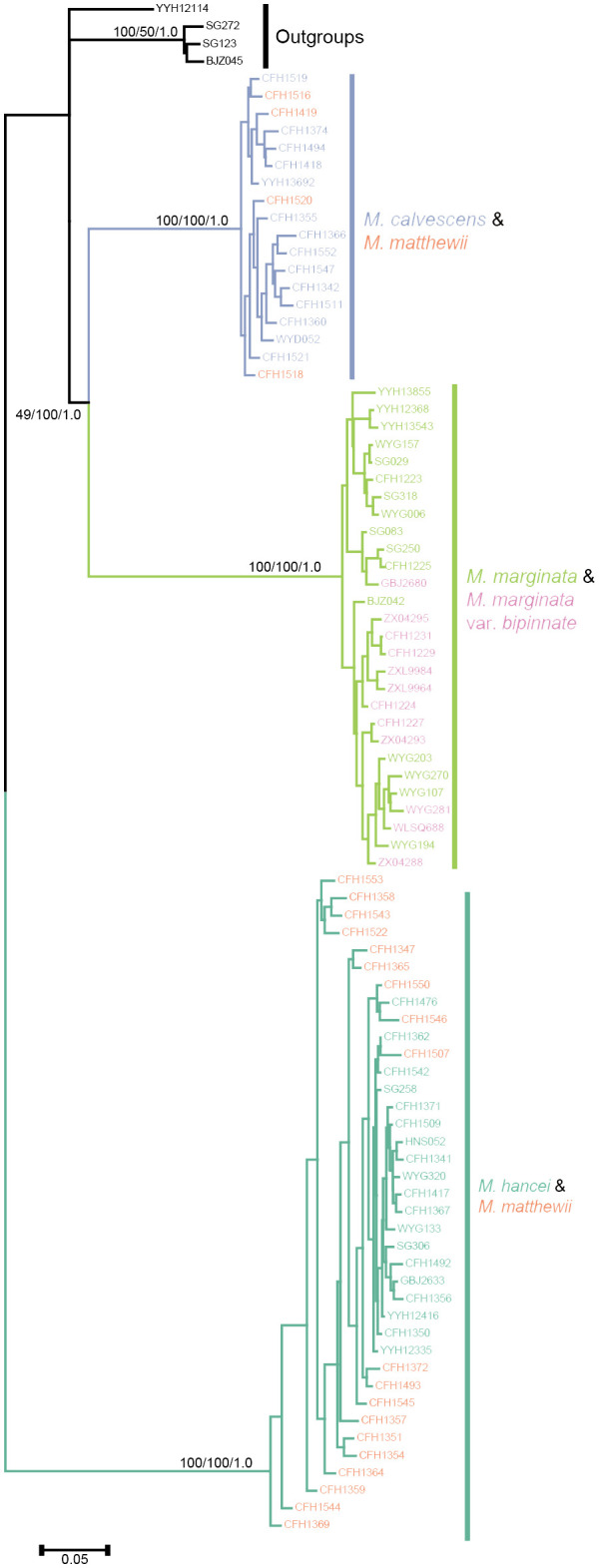 Figure 4