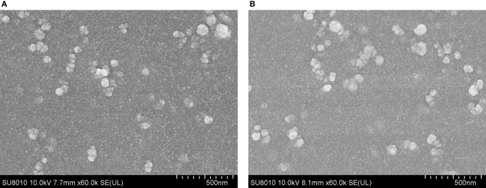 Figure 2