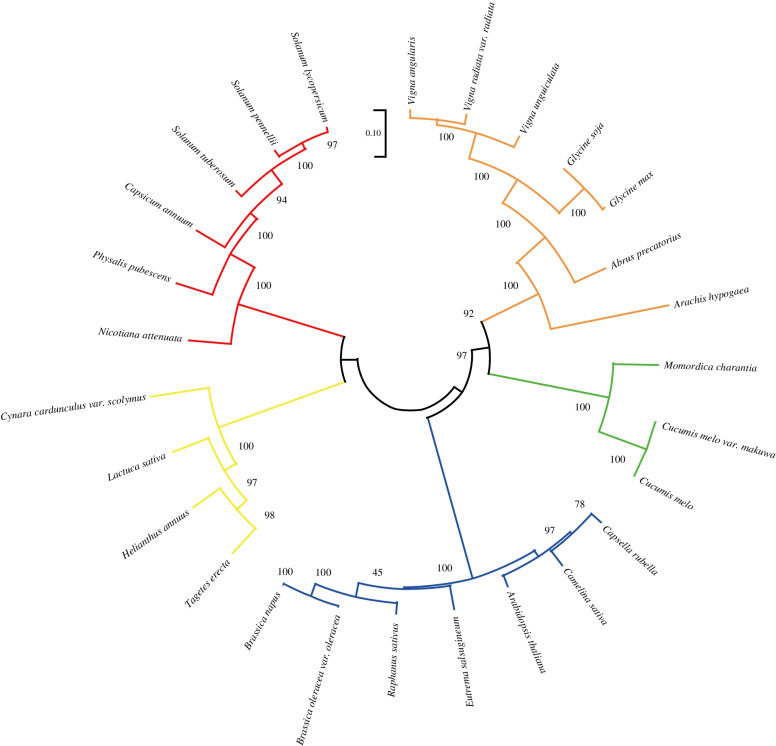 Fig. 2