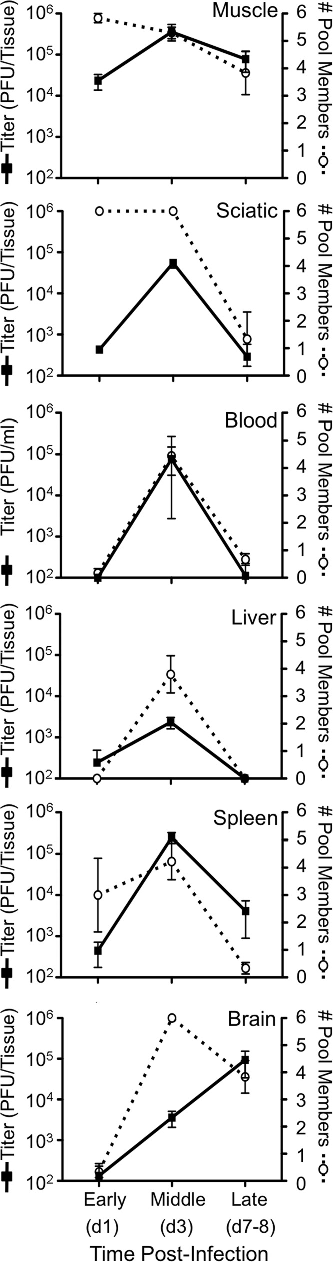 Fig 5