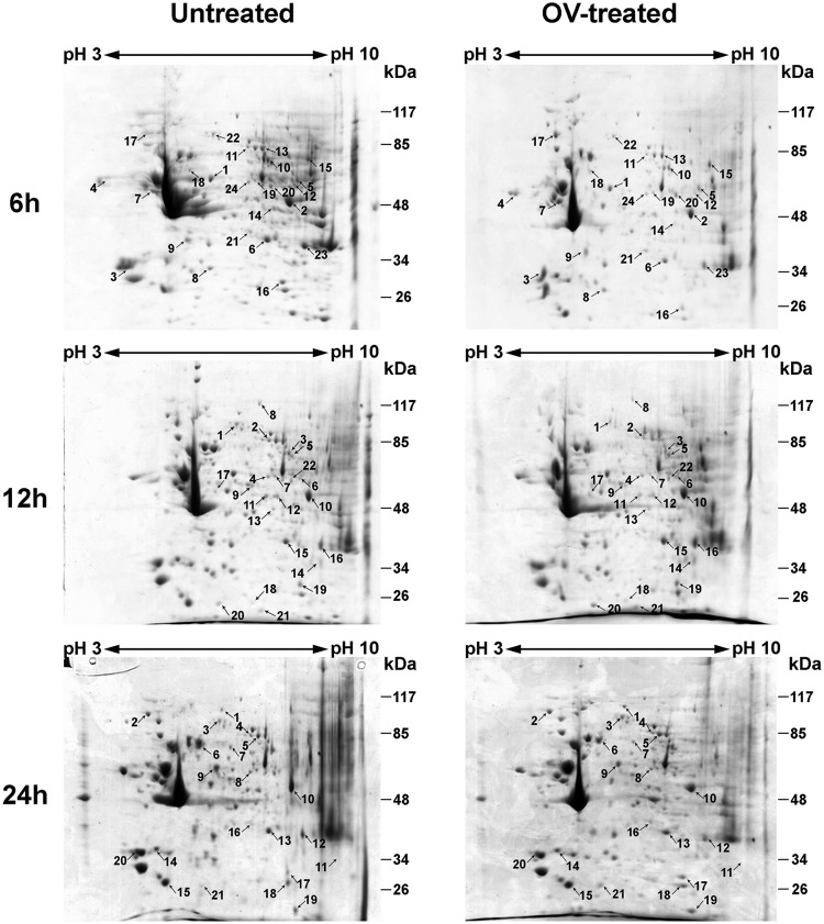 FIG 2