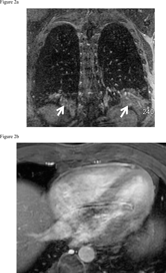 Fig. 2: