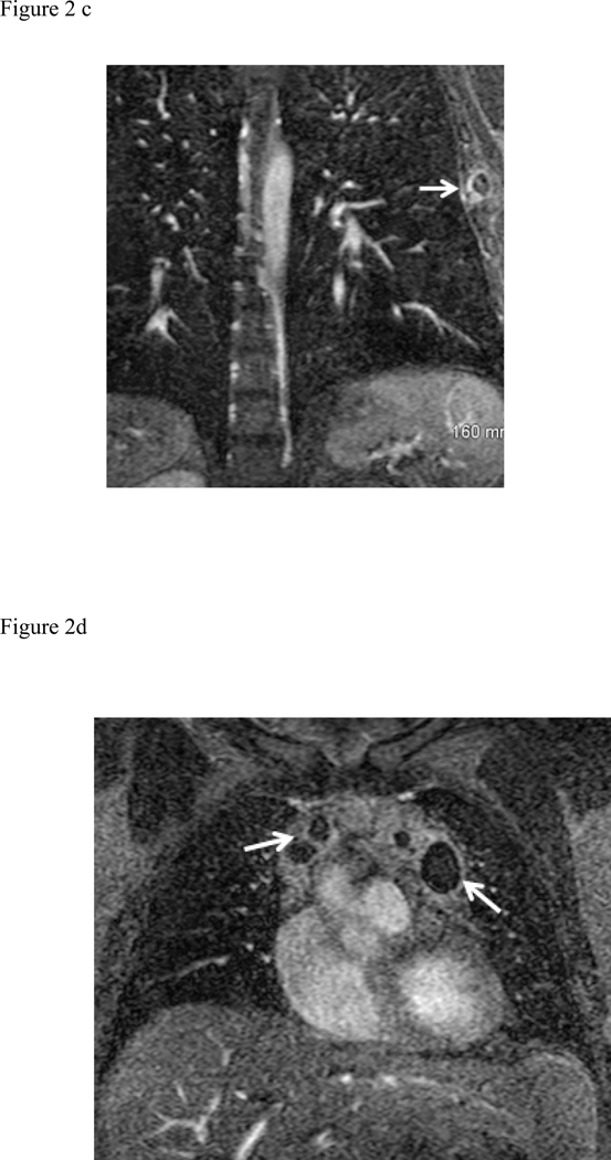 Fig. 2: